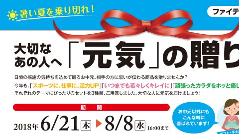 【チラシ・リーフレット】健康機器メーカーのお中元企画同封チラシデザイン制作_ファイテン株式会社様