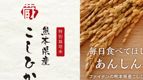 【チラシ・リーフレット】食品系リーフレットのデザイン制作＿ファイテン株式会社