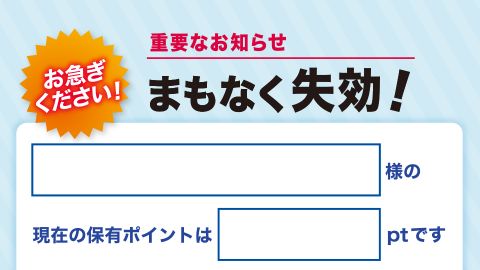 【DM】ポイント失効お知らせのDMデザイン制作_ファイテン株式会社様