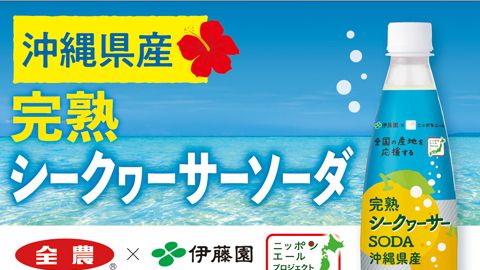 【伊藤園】炭酸飲料の量販店訴求用販促ツールデザイン_株式会社伊藤園様